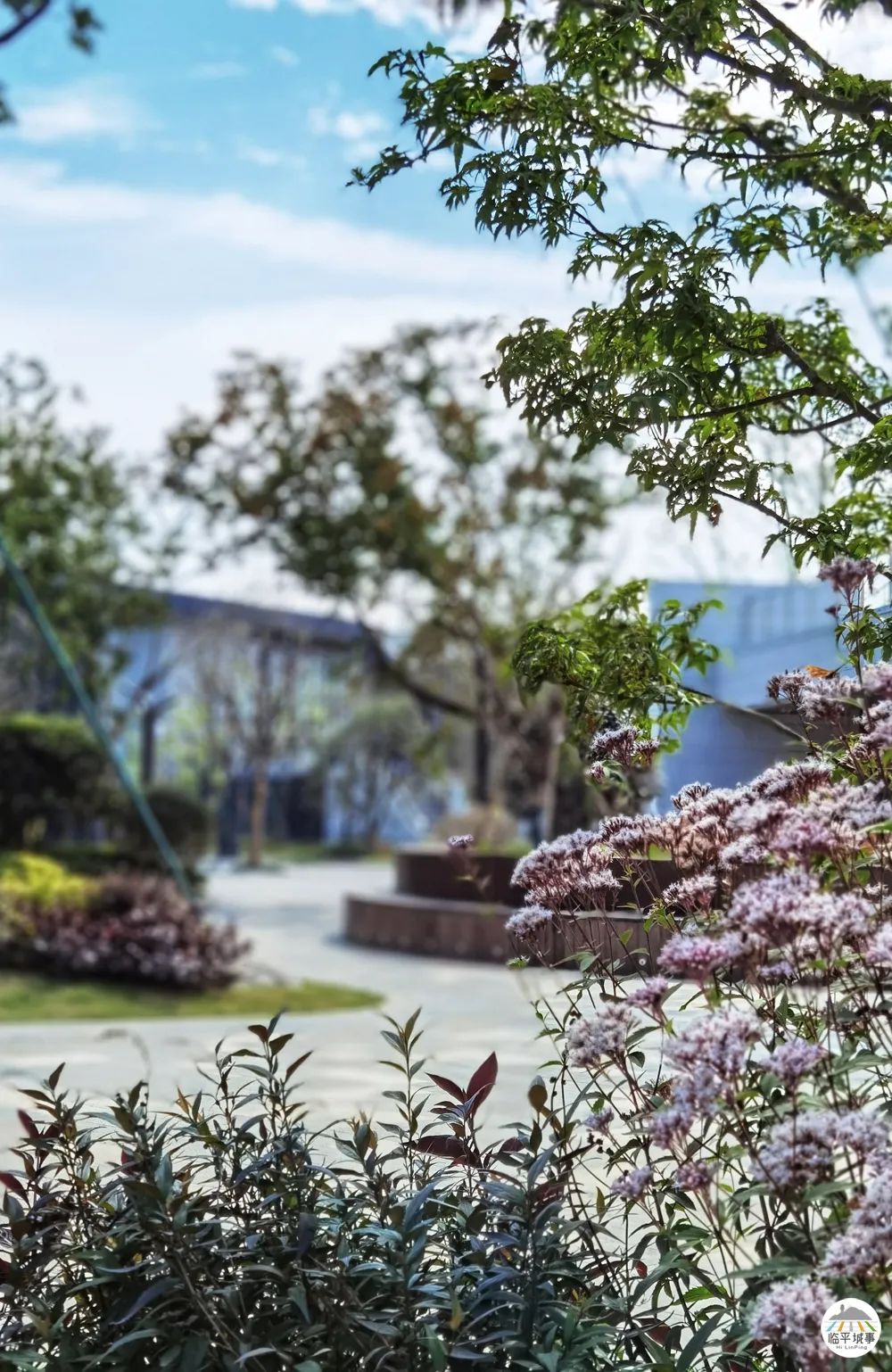 临平休闲运动公园,临平运动休闲公园免费吗