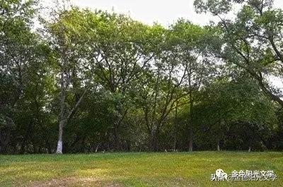 写我的乐园的作文,我心中的乐园作文