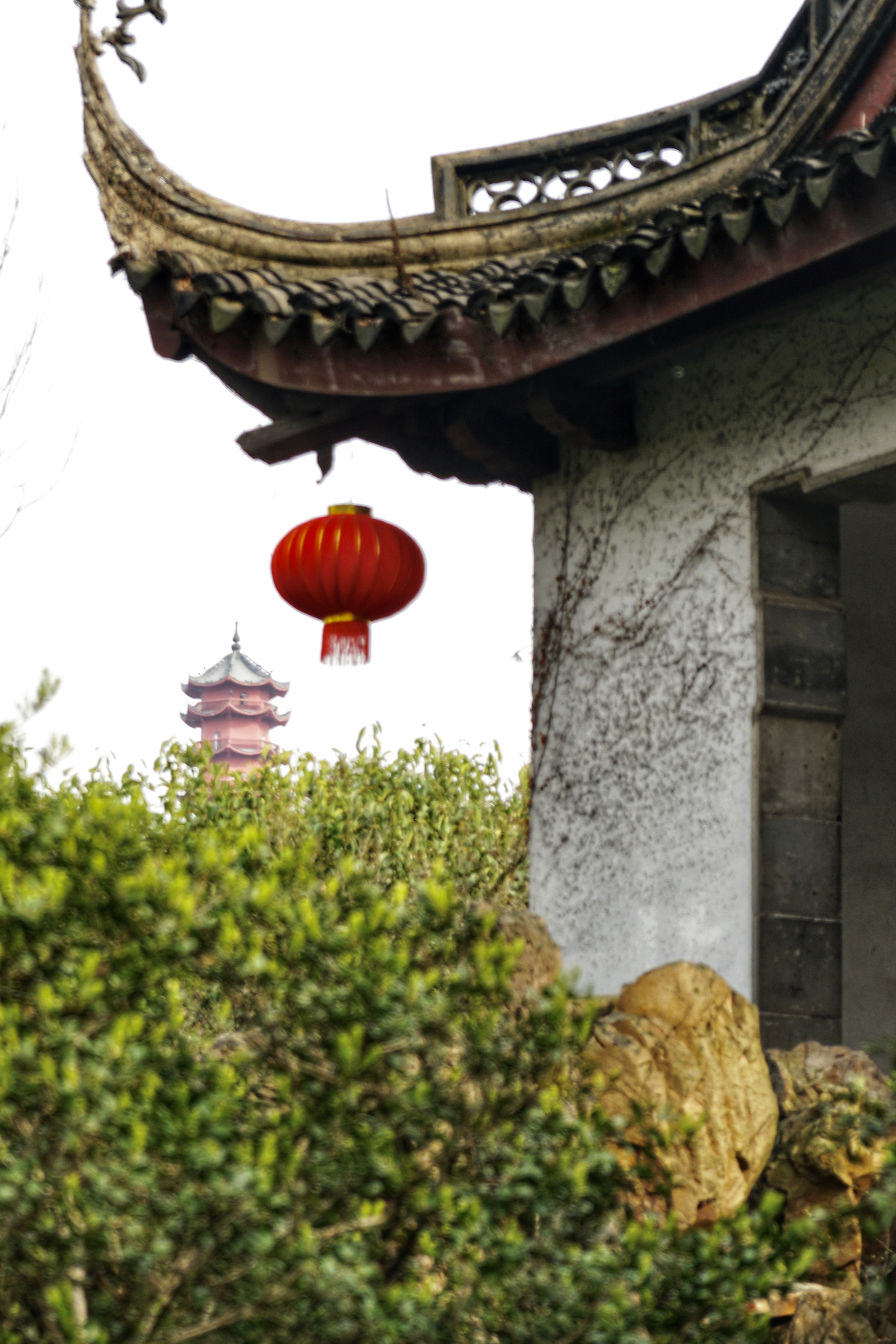 无锡惠山京杭大运河,惠山古镇古运河