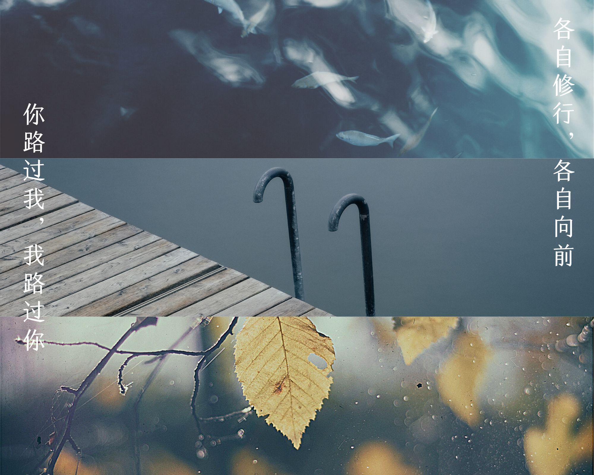 你的沉默与我无关,别让沉默成为遗憾珍惜爱你的人