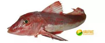 舟山海鲜代加工攻略,最全舟山海鲜攻略