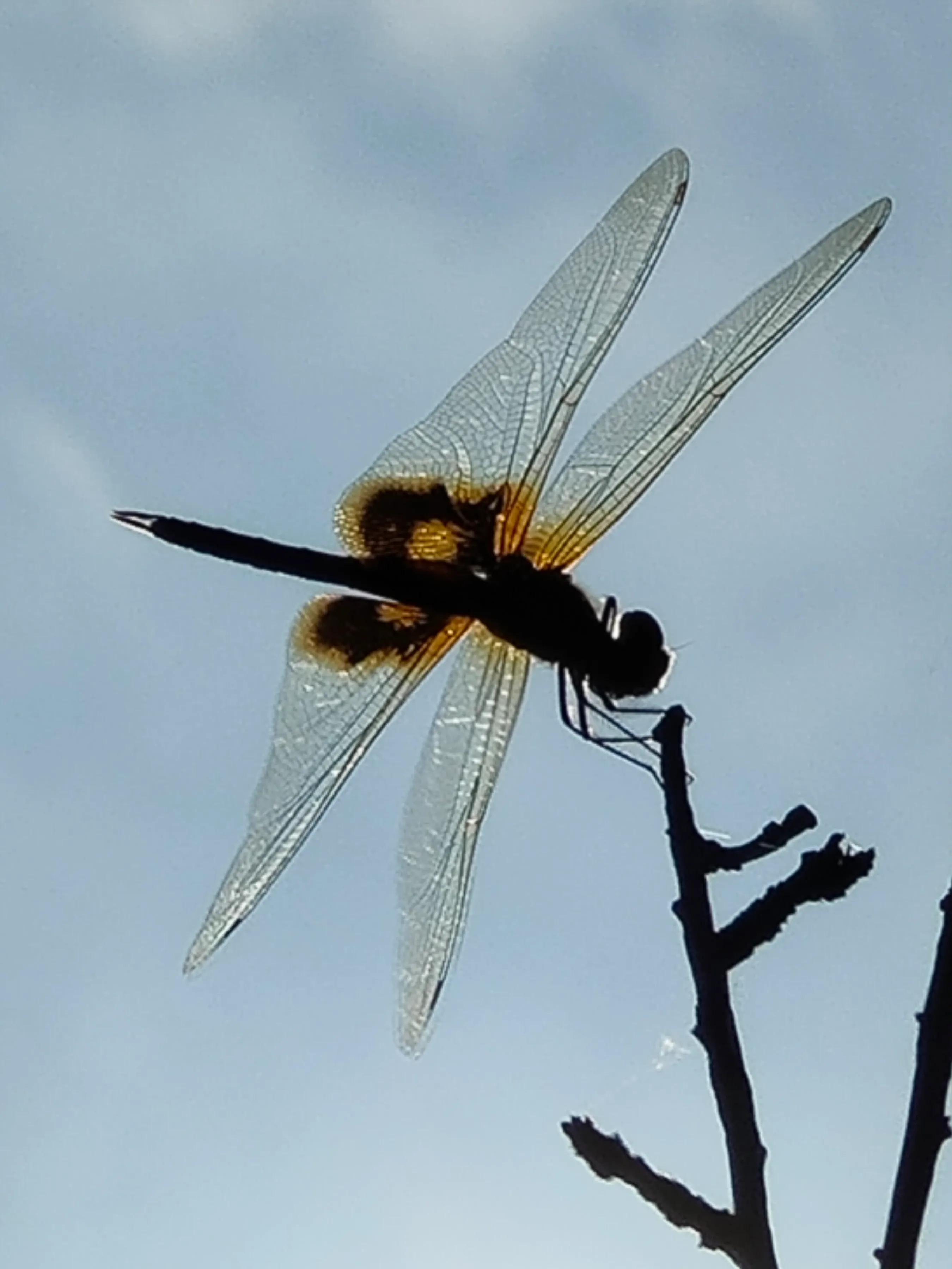 手拍世界手机摄影平台,手拍世界摄影交流平台