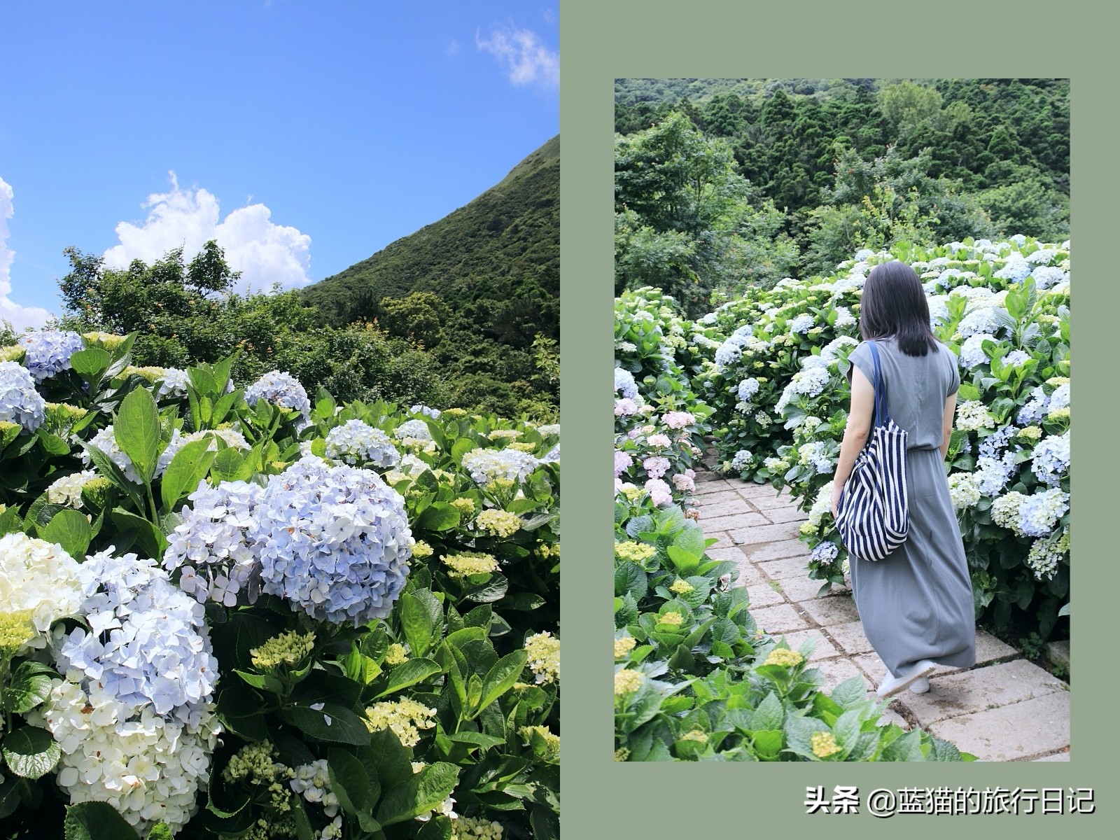 520最浪漫的旅游地,520浪漫出游地