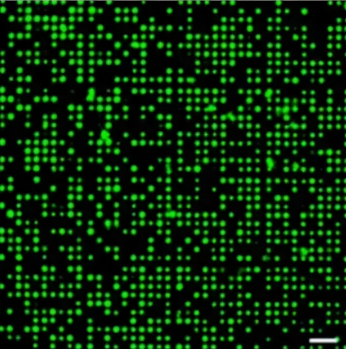 北航教授研发纳米芯片，30分钟即可解析肺癌细胞基因突变|专访