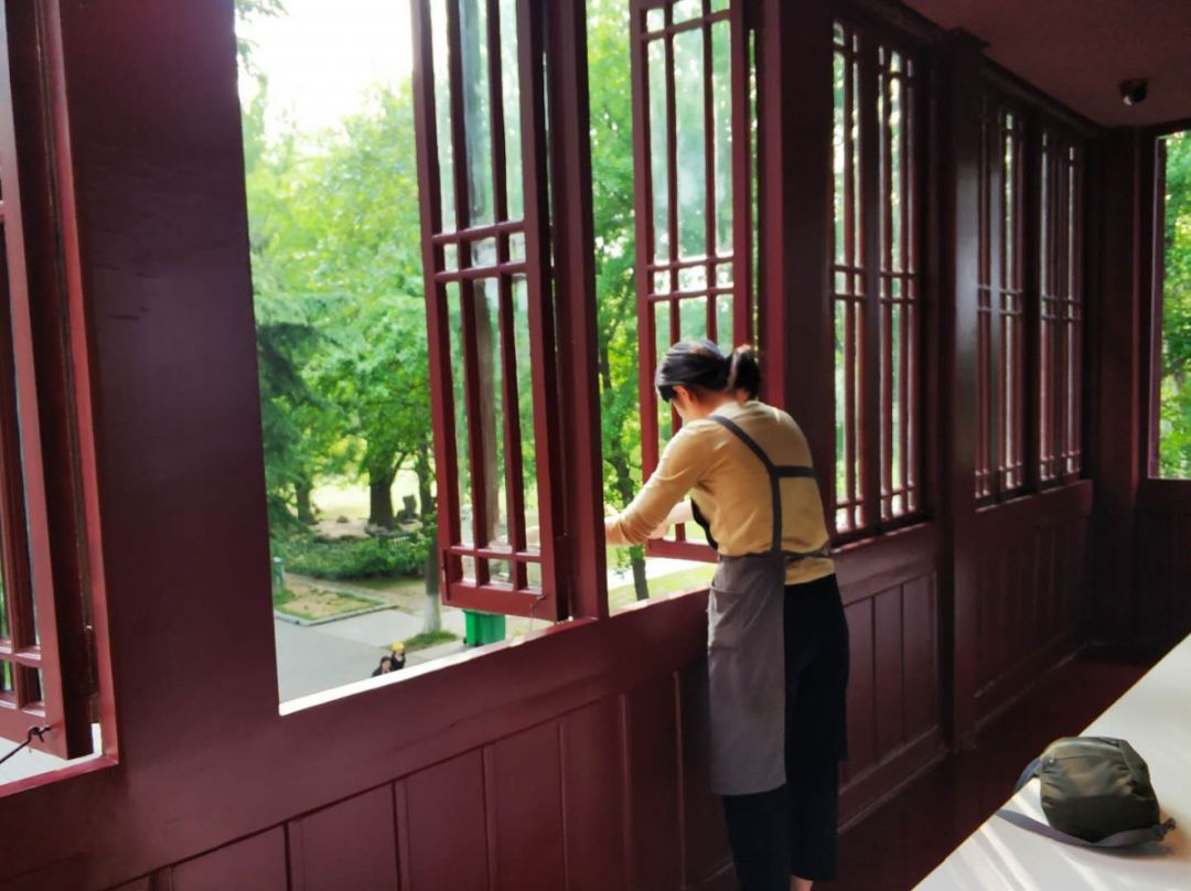 五一南京旅行全攻略,南京到处都是小虫子