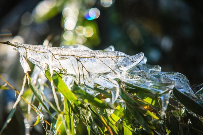 宜兴风景区推荐,宜兴这座诗情画意的江南小镇