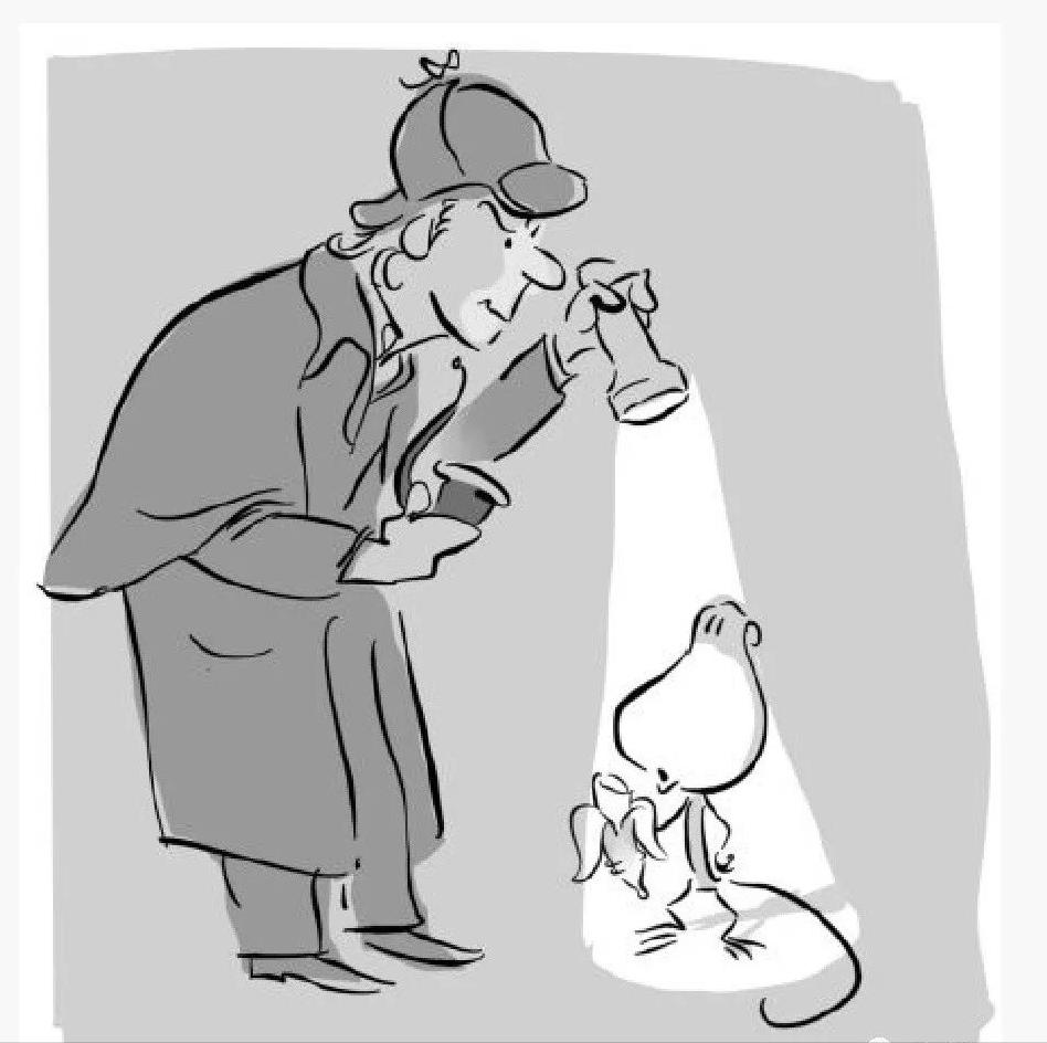 停止喂养你那颗焦虑的心II跳出猴子思维