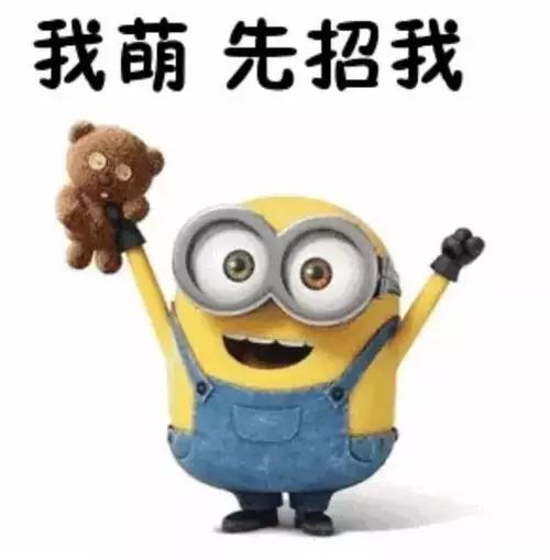 简历编写及投递的技巧,应届生求职救急hr教你四步写简历