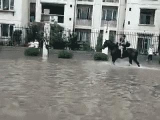 高铁上一位阿姨,高铁40岁老阿姨踢我怎么办