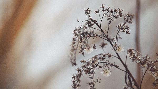 最后还是做了5年免费保姆 (给女儿当了8年免费保姆的辛酸)