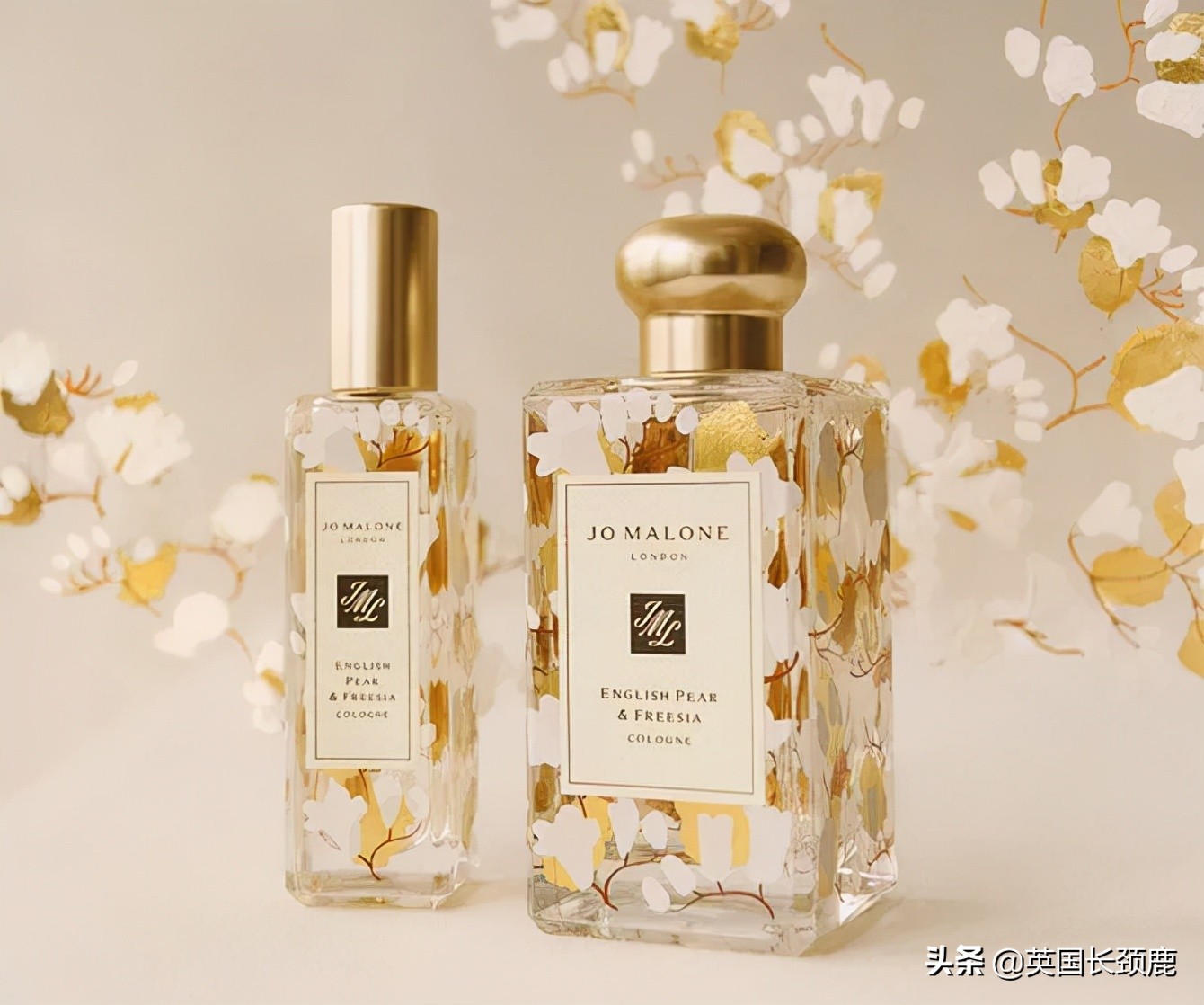 秋冬季节推荐的香水,秋冬香水橘彩星光