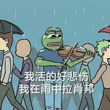 看哭了！中国大学男女比例失衡榜单，第一名真的太惨了……