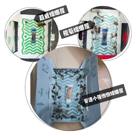 走心测评｜30+姐姐事业风生水起，除蟑也必须一流