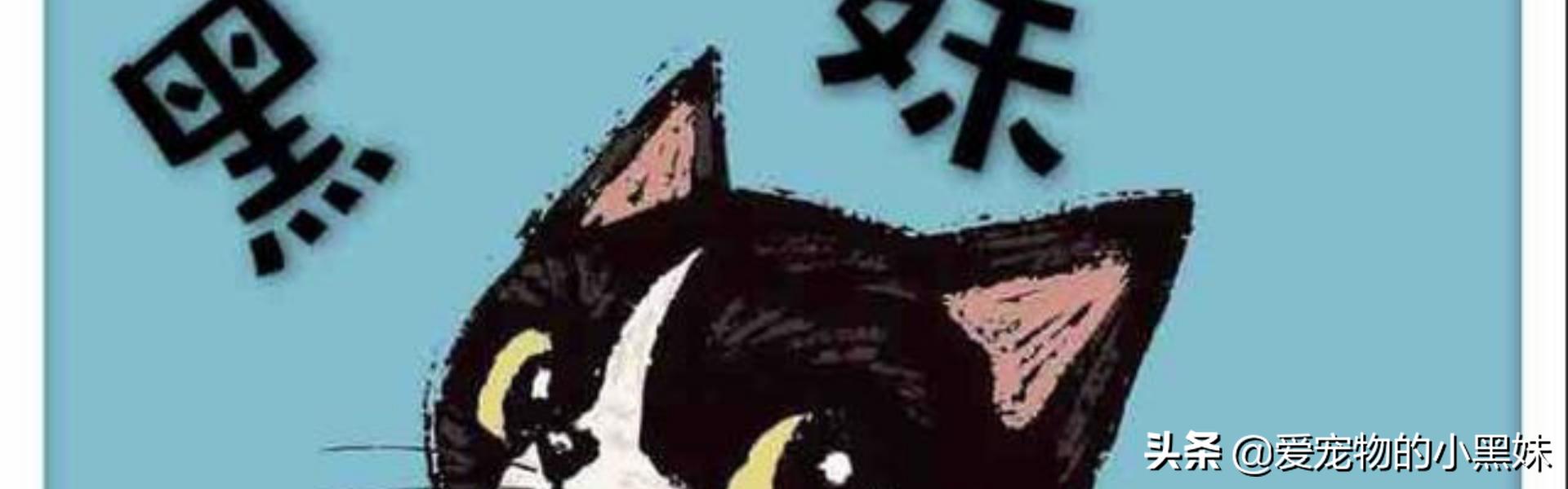 什么是猫曲霉菌病？如何诊断治疗？一篇文章告诉你