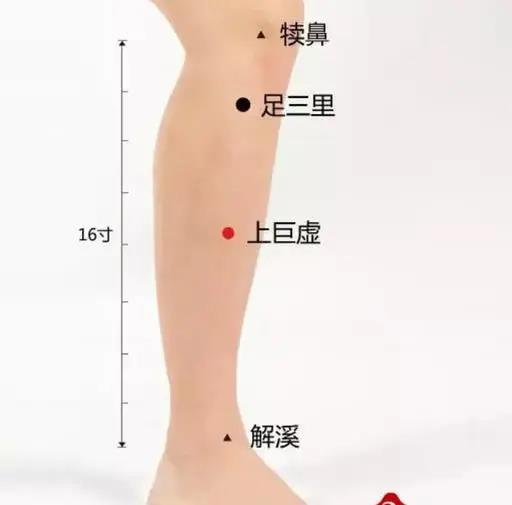 艾灸灸哪个穴位可以提高免疫力,儿童增强免疫力艾灸哪个穴位好