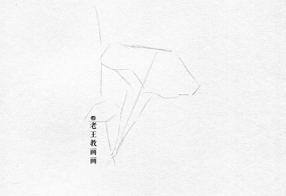 素描小白都在画什么,新手小白画素描人物