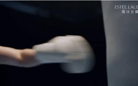 雅诗兰黛给张伟丽多少钱 (雅诗兰黛代言人张伟丽)