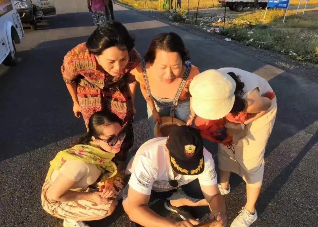 自驾游独库房车营地,自驾房车北方游