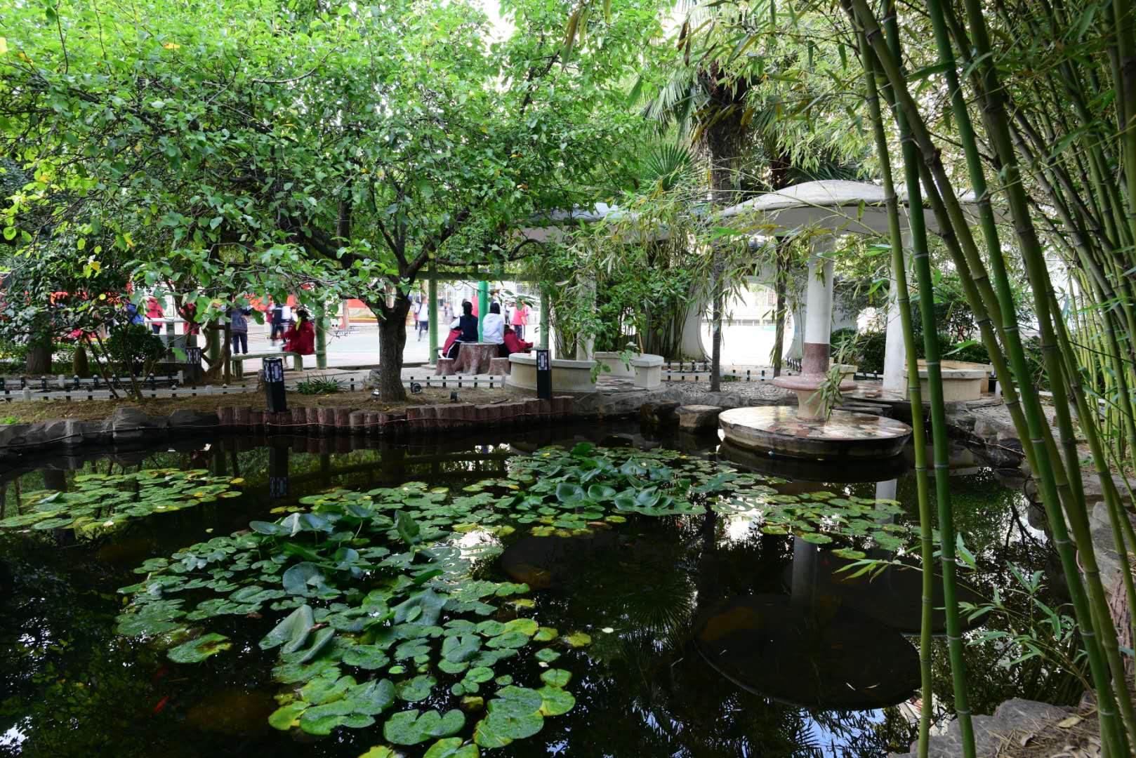 不负遇见，在郑州市第二十四中学成就彼此最美未来