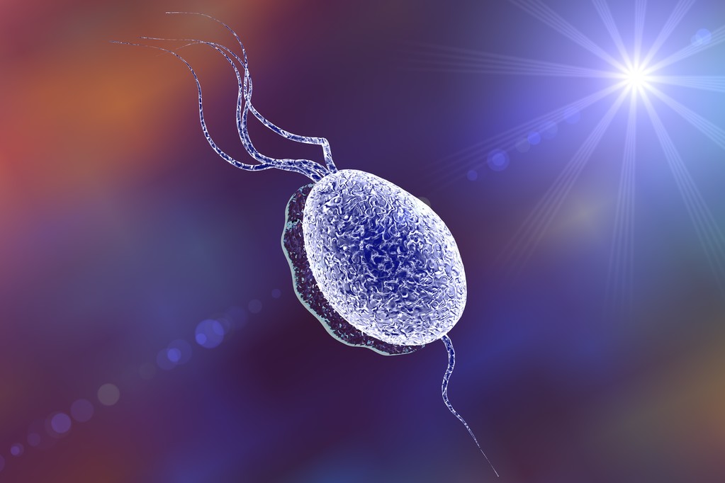 女性一旦感染这个病怎么办?不要慌,教你这样应对