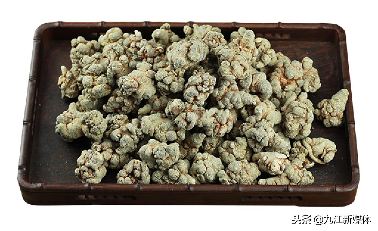 中医诊所免费义诊20年,中医专家义诊