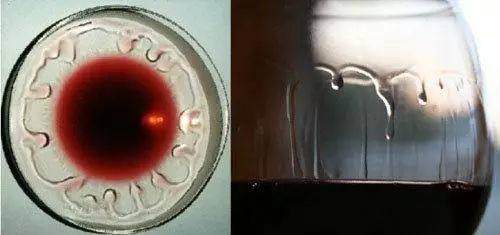 红酒入门如何挑选红酒品牌,勃艮第村庄级红酒入门