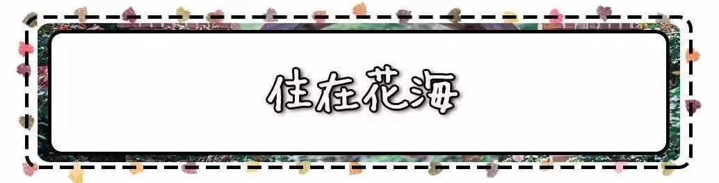 槽糕,是心动的感觉!这个神秘花谷正在悄然绽放!走,去拍照~