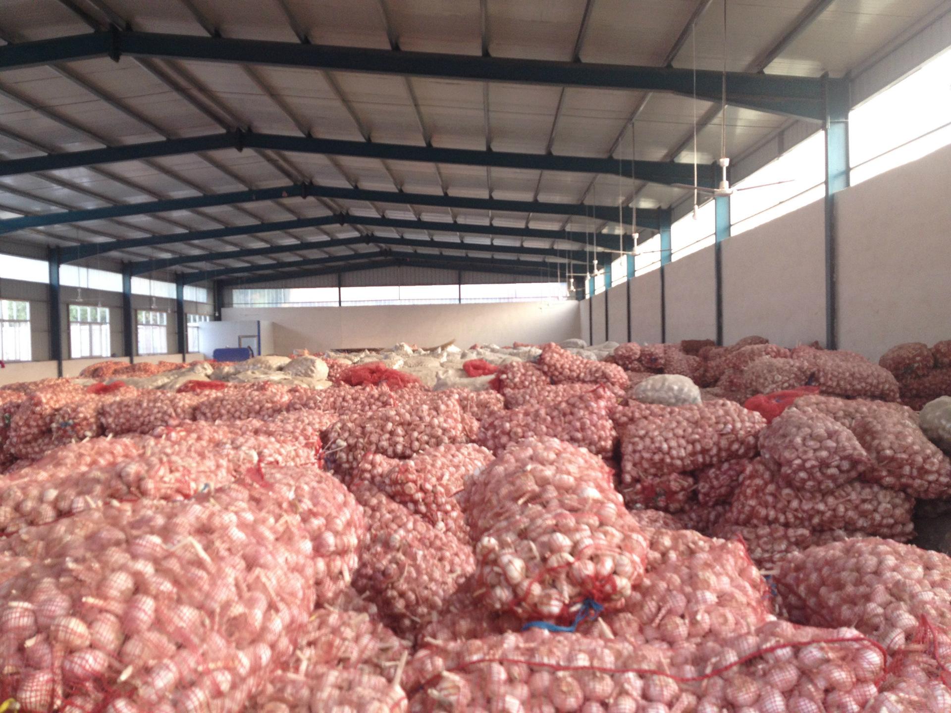 2018年7月2日大蒜行情走势,今年四月份最新大蒜行情