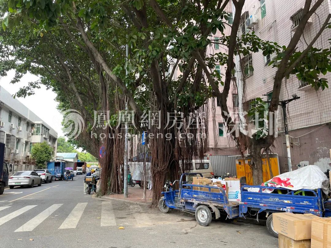 立润富达广场什么性质,对南山立润富达广场评价