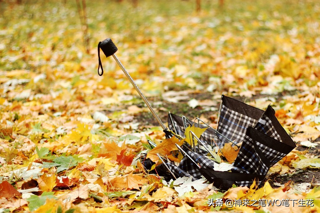 歌词记不住怎么办,唱歌记不住歌词怎么办