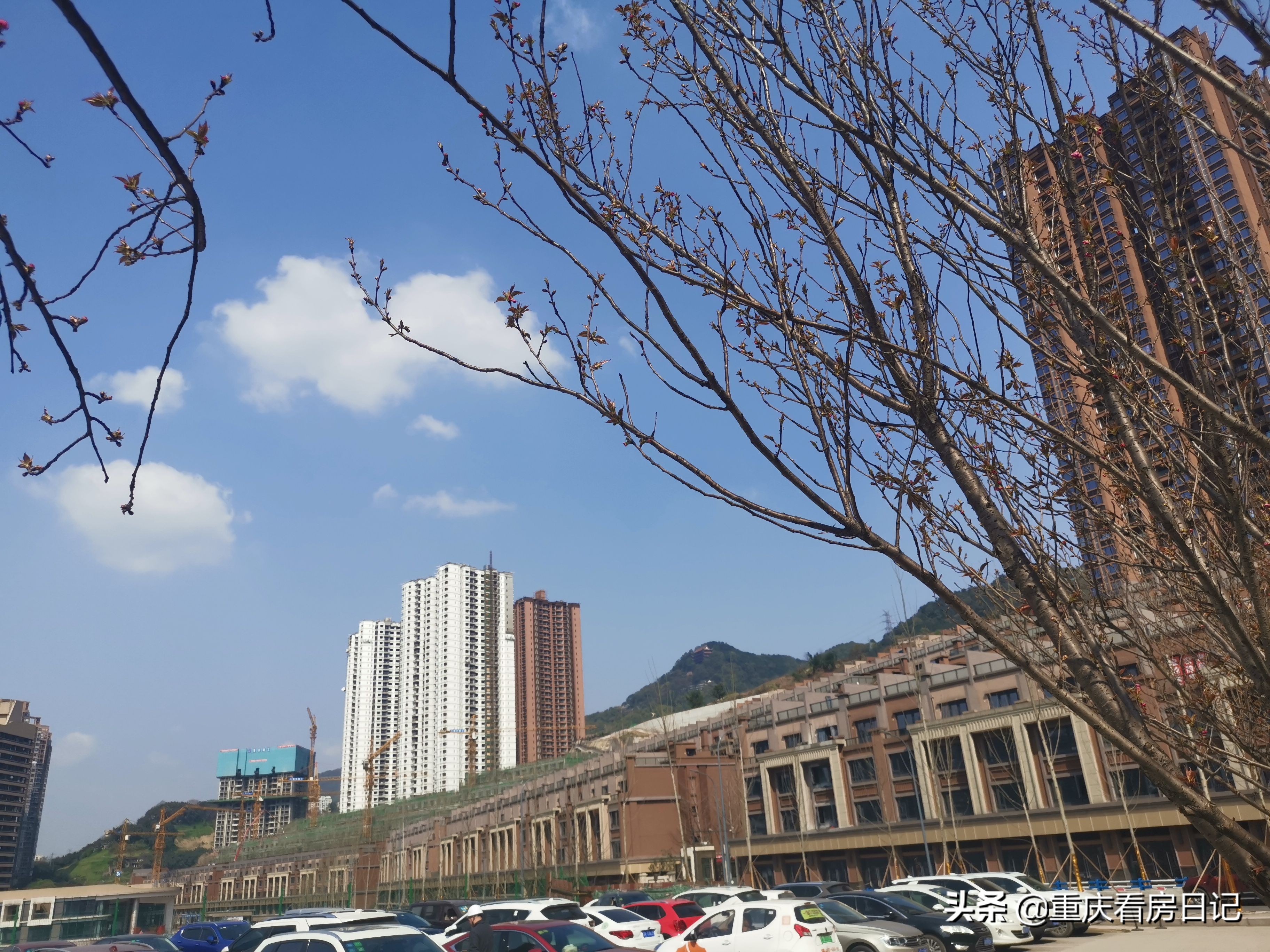 和记黄埔御峰叠拼,和记黄埔御峰效果图