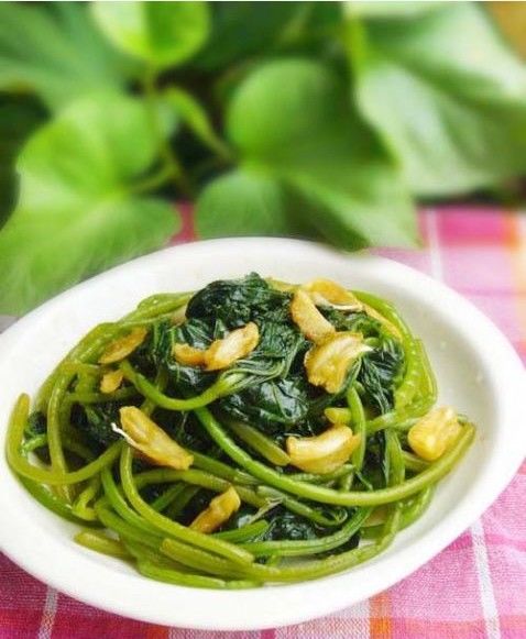 暑假之乐,暑假之趣600字