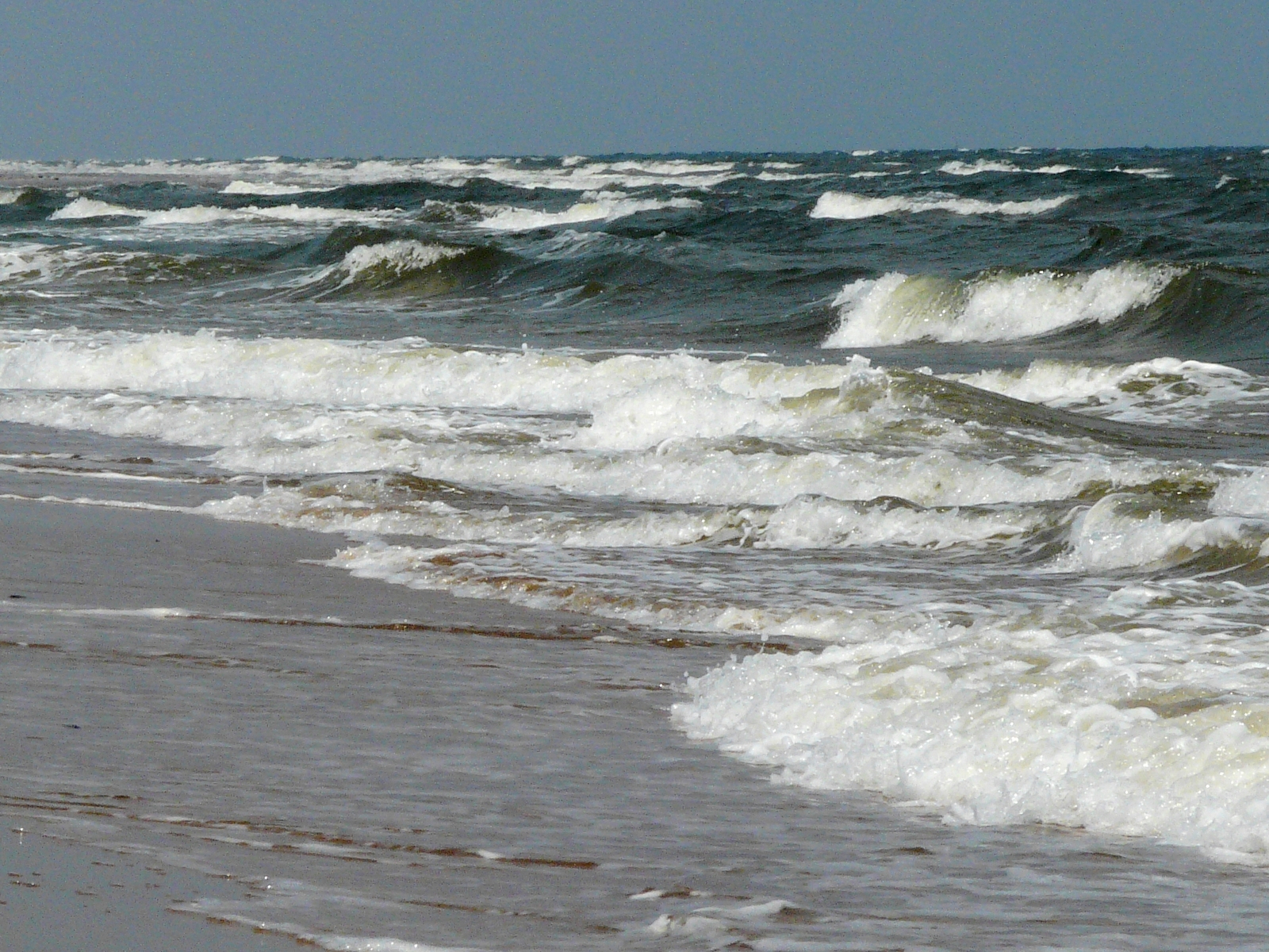 纪念失去后的重生,纪念失去的一切