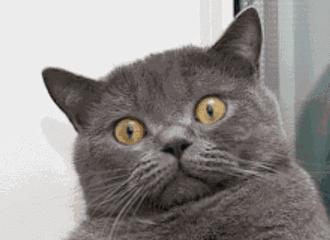 牙齿矫正别轻易拔牙,牙齿矫正要先磨牙吗