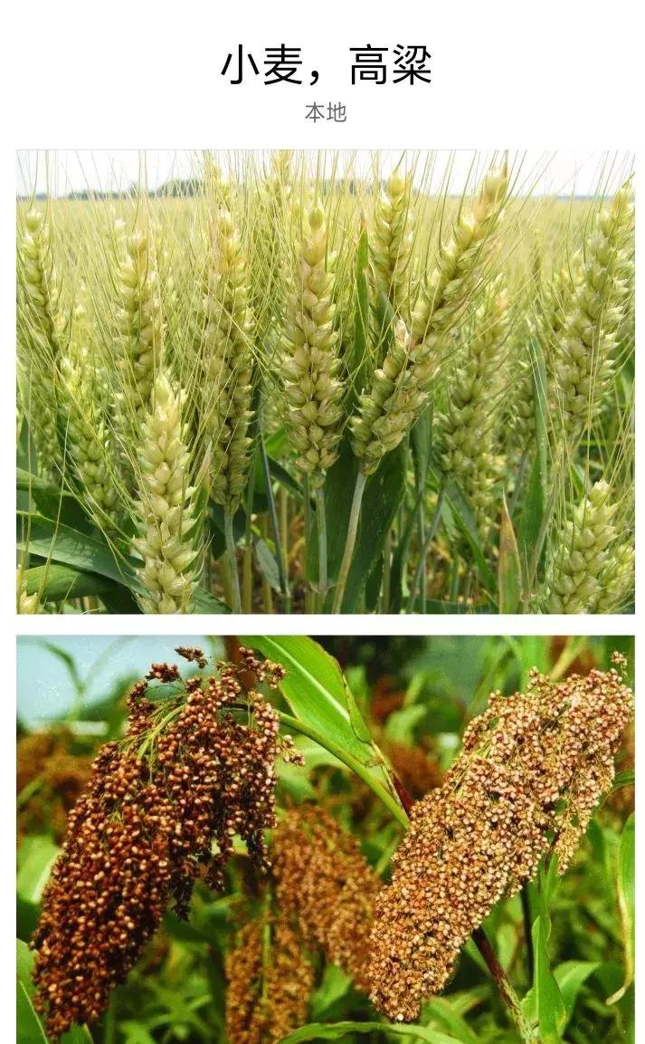 酱香酒成本和浓香酒成本,一瓶酒酱香酒包装成本