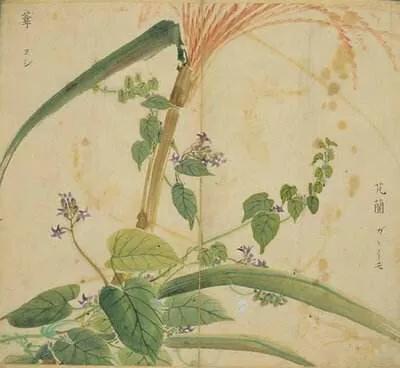 心灵休憩园,心灵栖息园