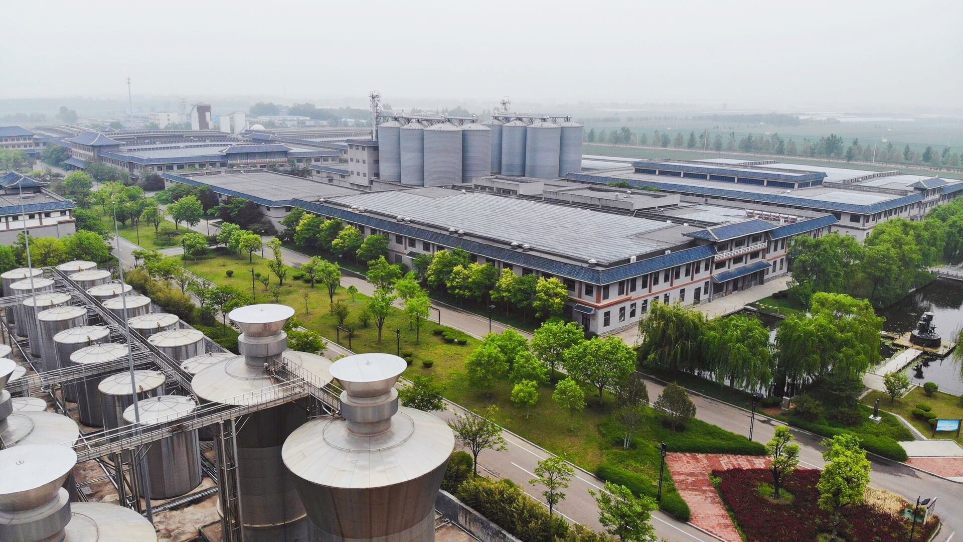 山东酒量最高的酒,山东白酒酒量