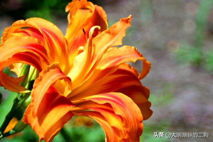 二战时期德国有多少黑科技,二战时德国有哪些黑科技