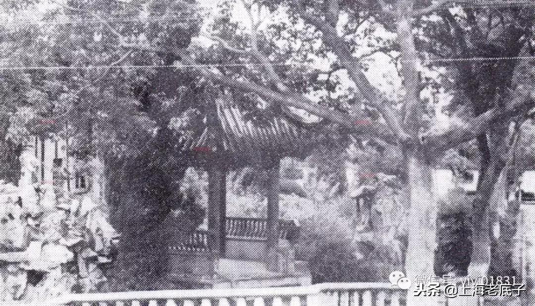 「南汇县篇」回望上世纪八九十年代的上海学校,有侬的母校伐?
