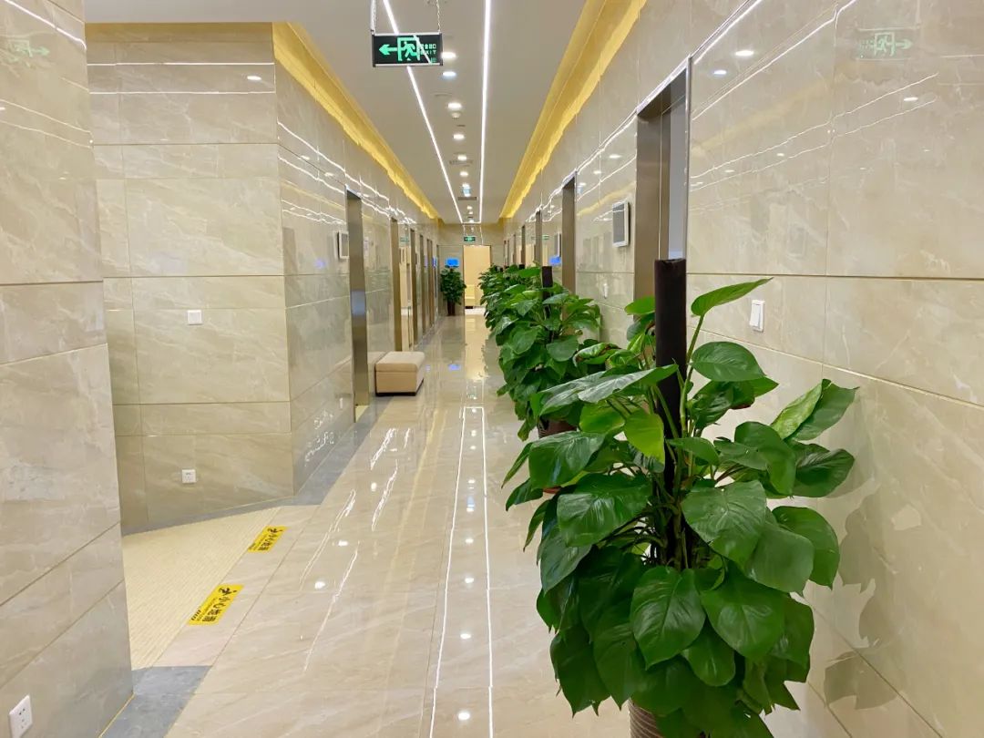 四美探店｜|市中心这家商场升级啦！新增9家商户，超多惊喜