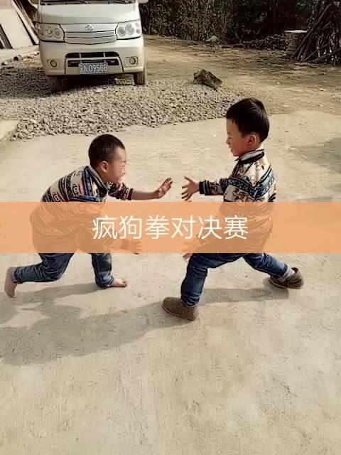 疯狗拳实战案例,疯狗拳是真的吗