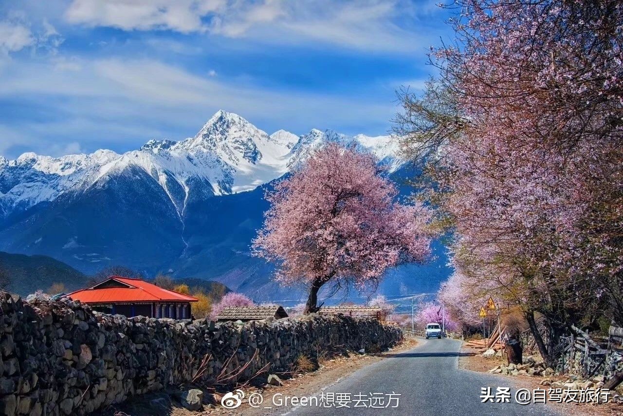 8月最佳旅行地推荐自驾游,4-5月份最佳的自驾短途旅行