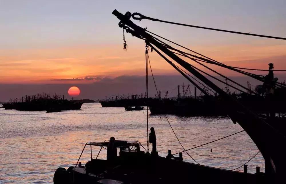 今日石狮,石狮今天的新消息