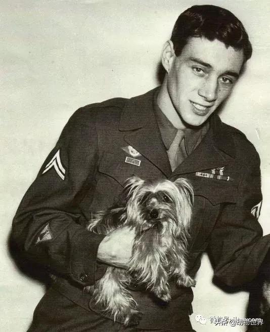 世界各国的著名动物,美国最著名的动物