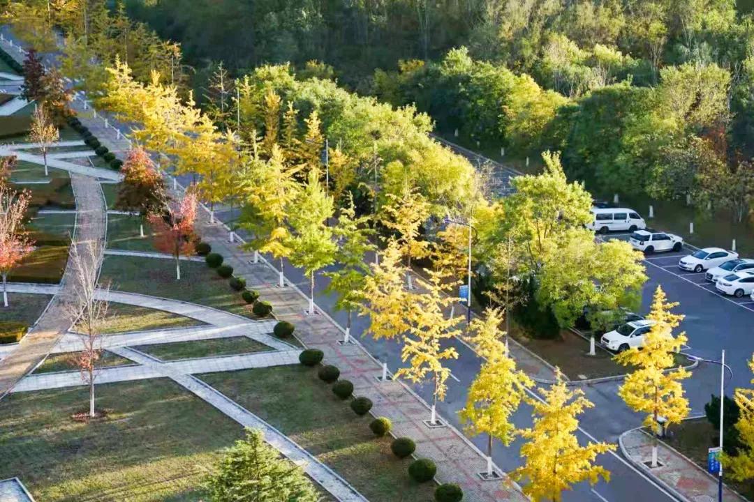 辽宁省高校(三十二)大连外国语大学