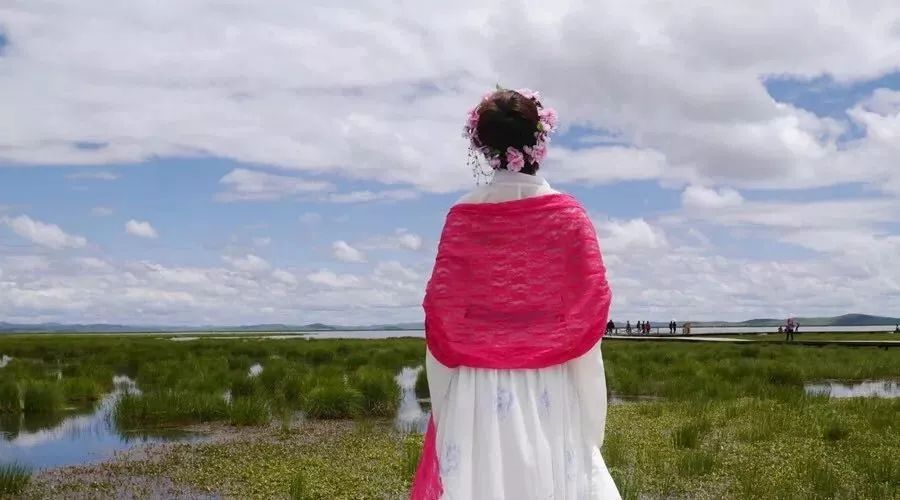 若诗若画若尔盖美景,若诗若画若尔盖文案