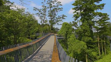 深圳最新绿道推荐,龙华环城绿道羊台山段从哪进