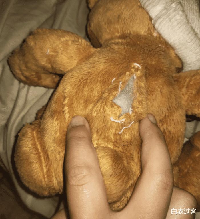 女孩送的玩偶,女孩送的玩偶熊