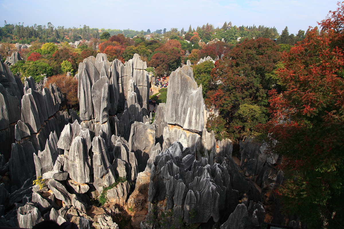 云南旅游石林景区攻略,云南石林旅游攻略必去景点有哪些