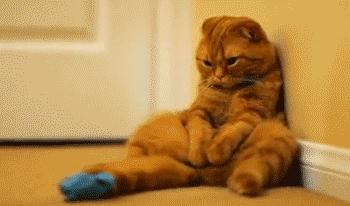 在家憋着干啥挣钱,在家憋着可以玩什么游戏